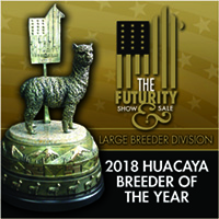 The Futurity - Huacaya Breeder of the Year award